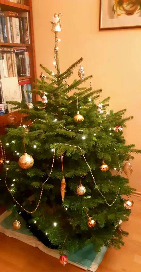 Nordmann eglīte