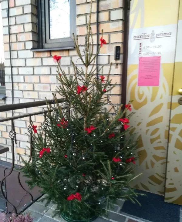Latvijas eglīte